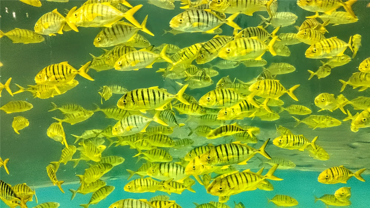 北海海洋之窗风景图片