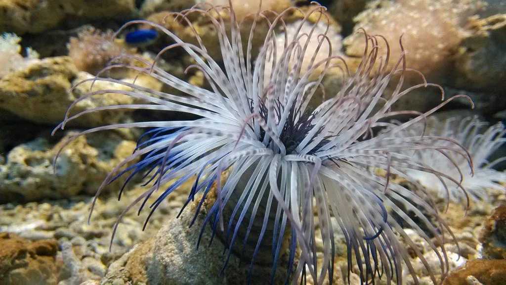 北海海洋之窗风景图片