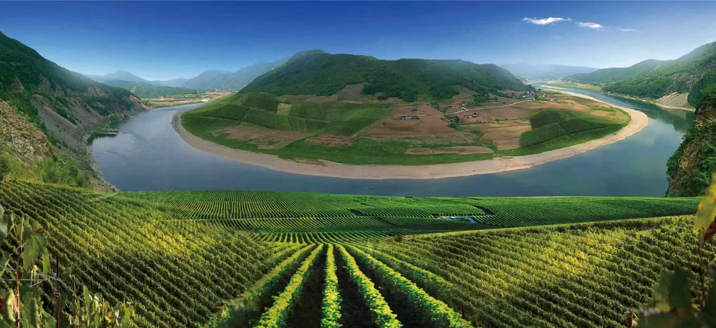 通化葡萄酒地下酒窖景区风景图片