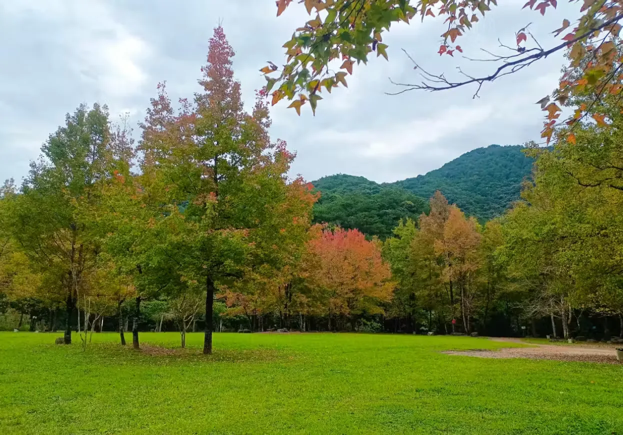 十万大山国家森林公园实景图片