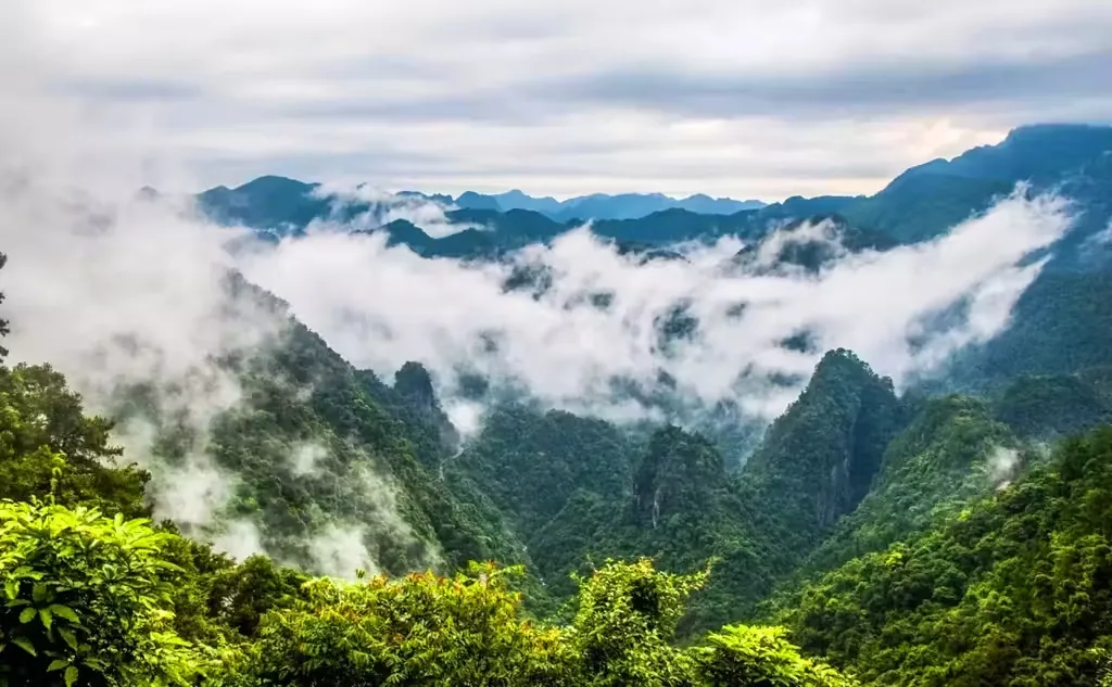 龙潭国家森林公园