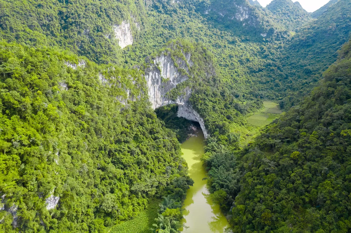 布柳河仙人桥实景图片