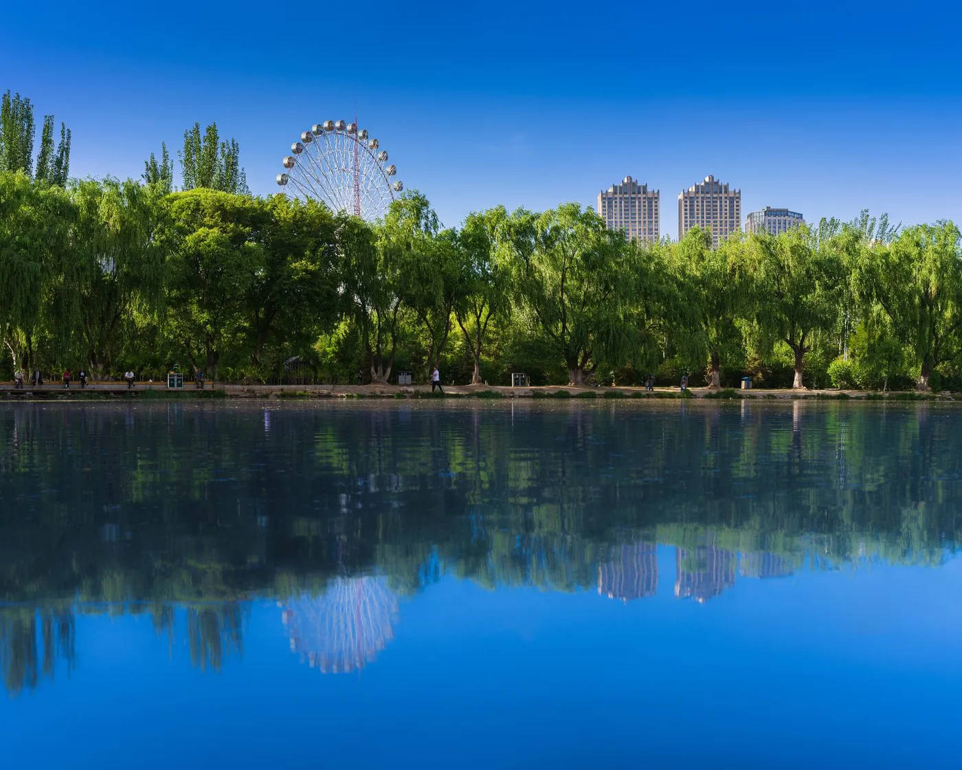 白沙门公园风景图片