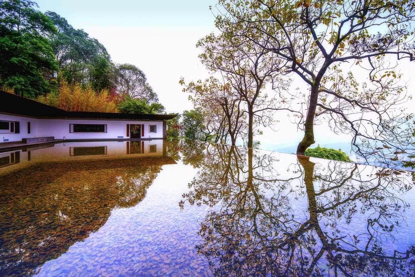 黄荆老林风景图片