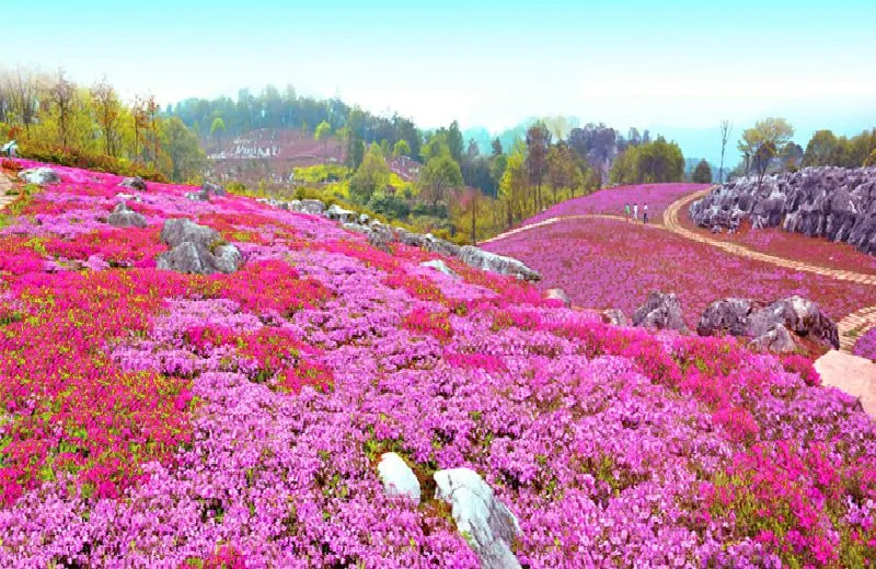 药王谷风景图片
