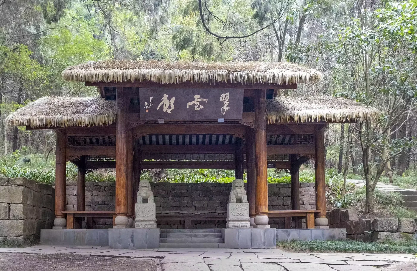 翠云廊实景图片