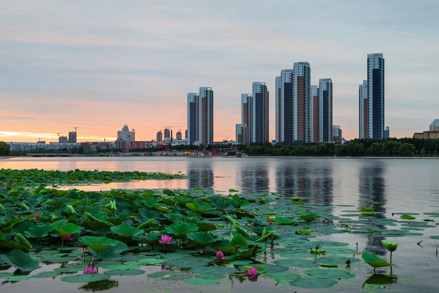 龙沙公园风景图片