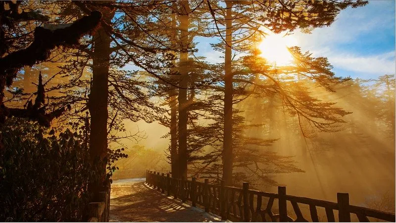 瓦屋山风景图片