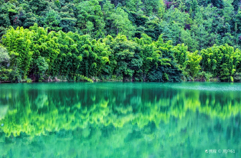 蜀南竹海风景图片
