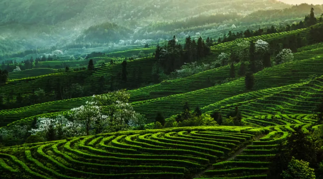 合江门风景图片