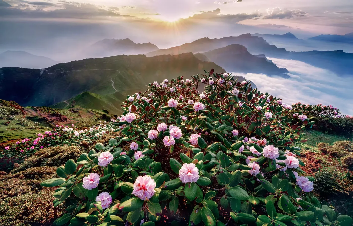 牛背山