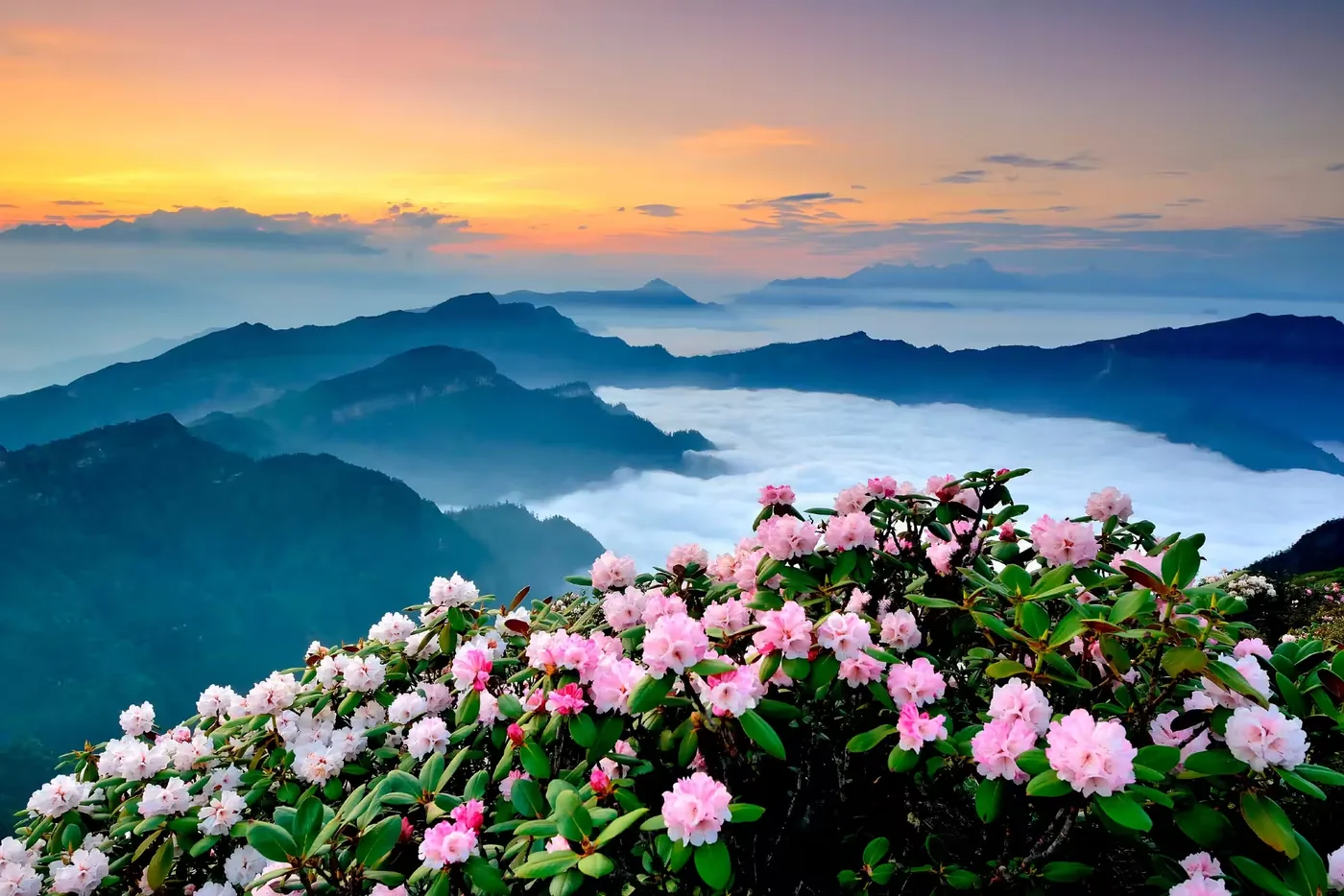 牛背山风景图片