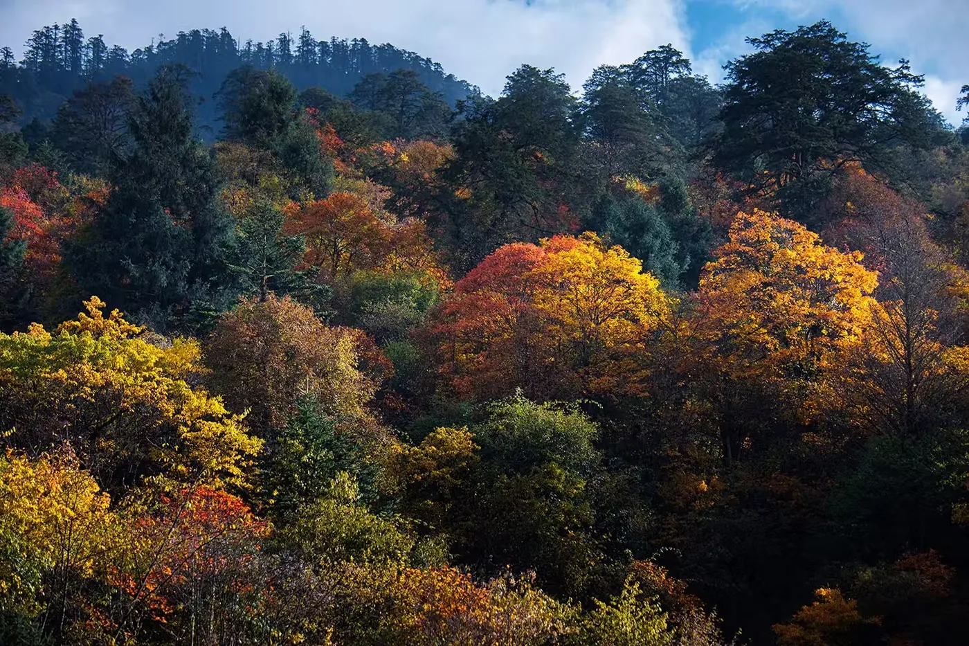 二郎山喇叭河风景图片