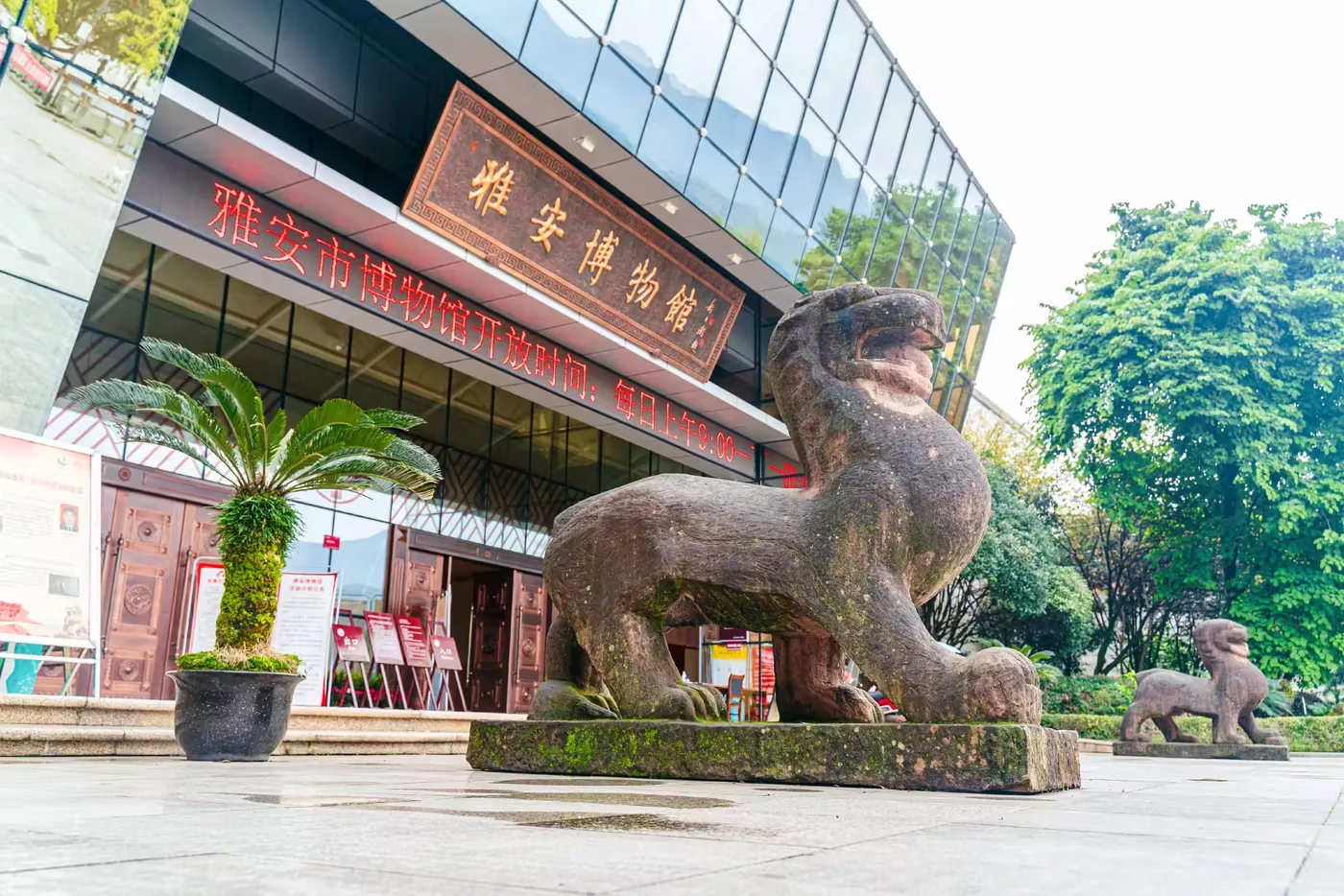 雅安博物馆实景图片