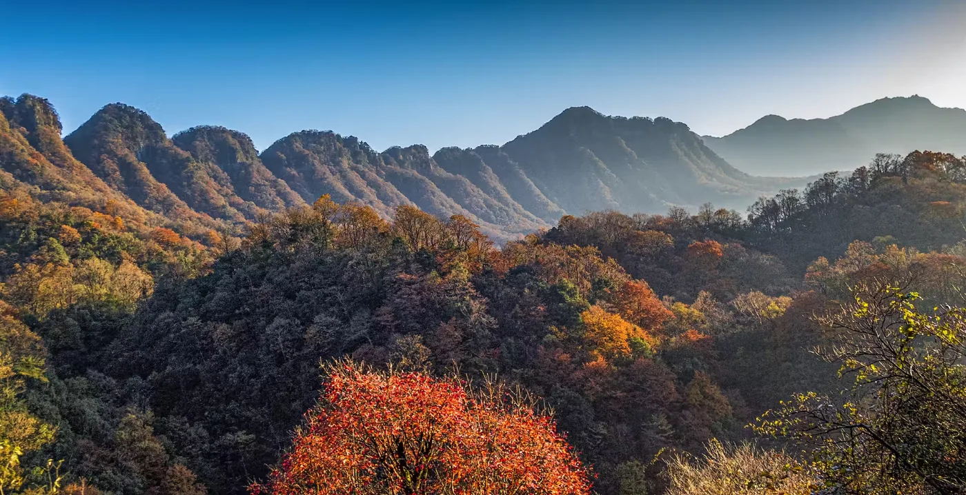恩阳古镇风景图片