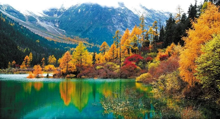 毕棚沟风景图片