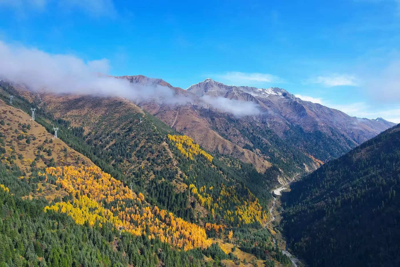 鹧鸪山