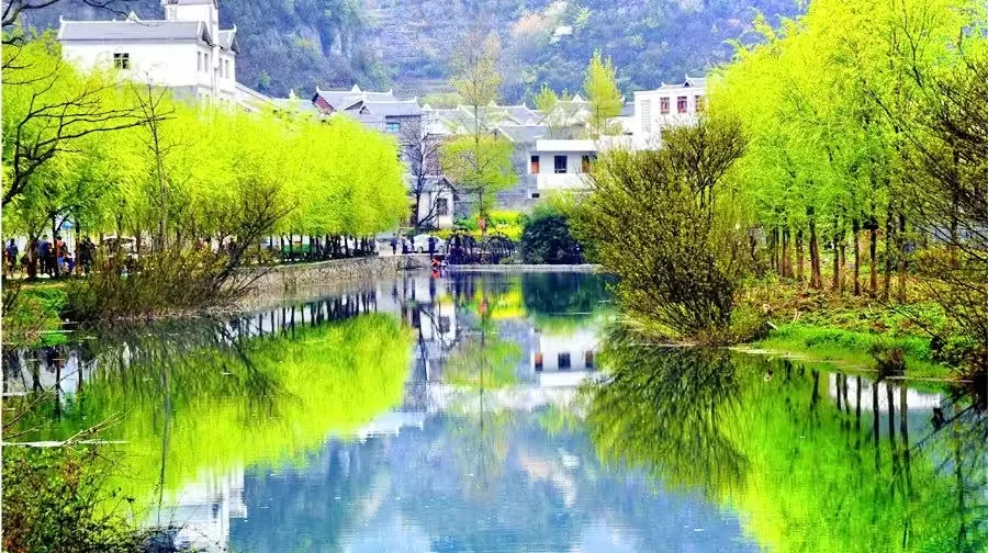 百里杜鹃风景区风景图片