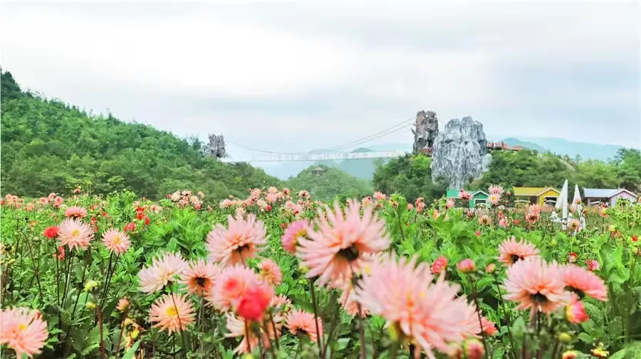 彝山花谷