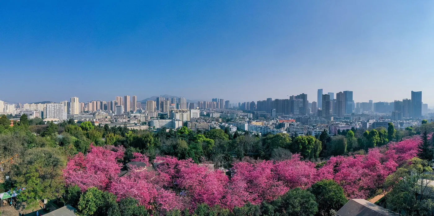 圆通山风景图片