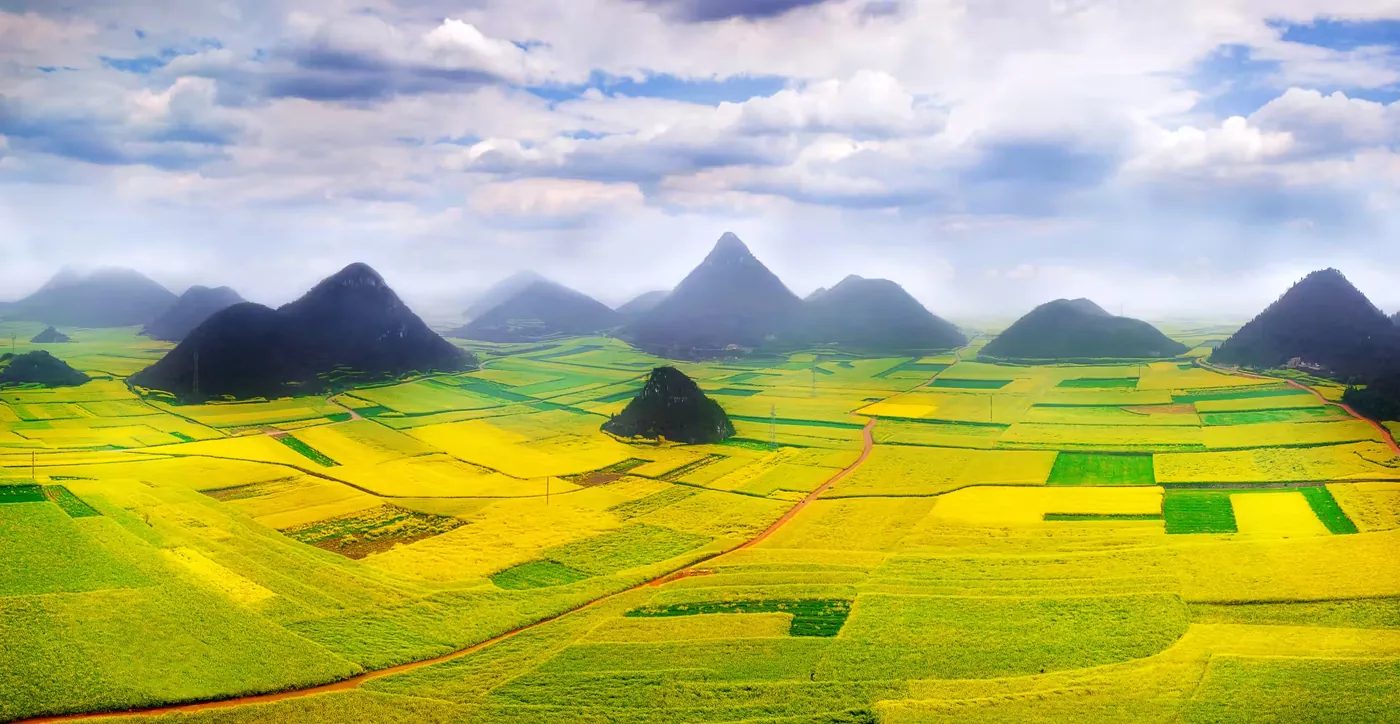 金鸡峰丛油菜花海实景图片