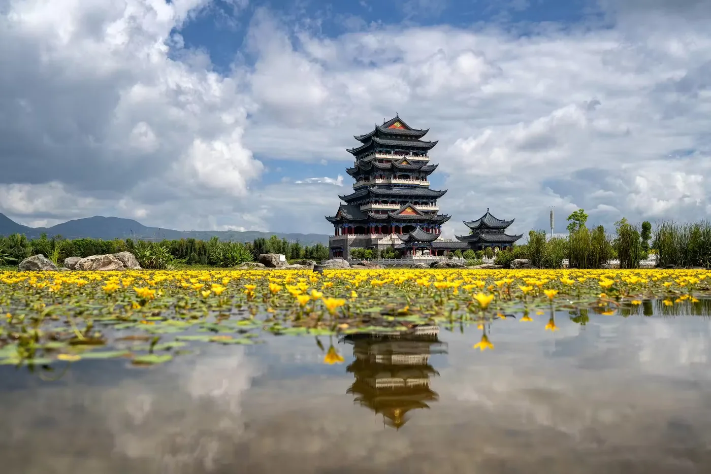 青华海国家湿地公园风景图片