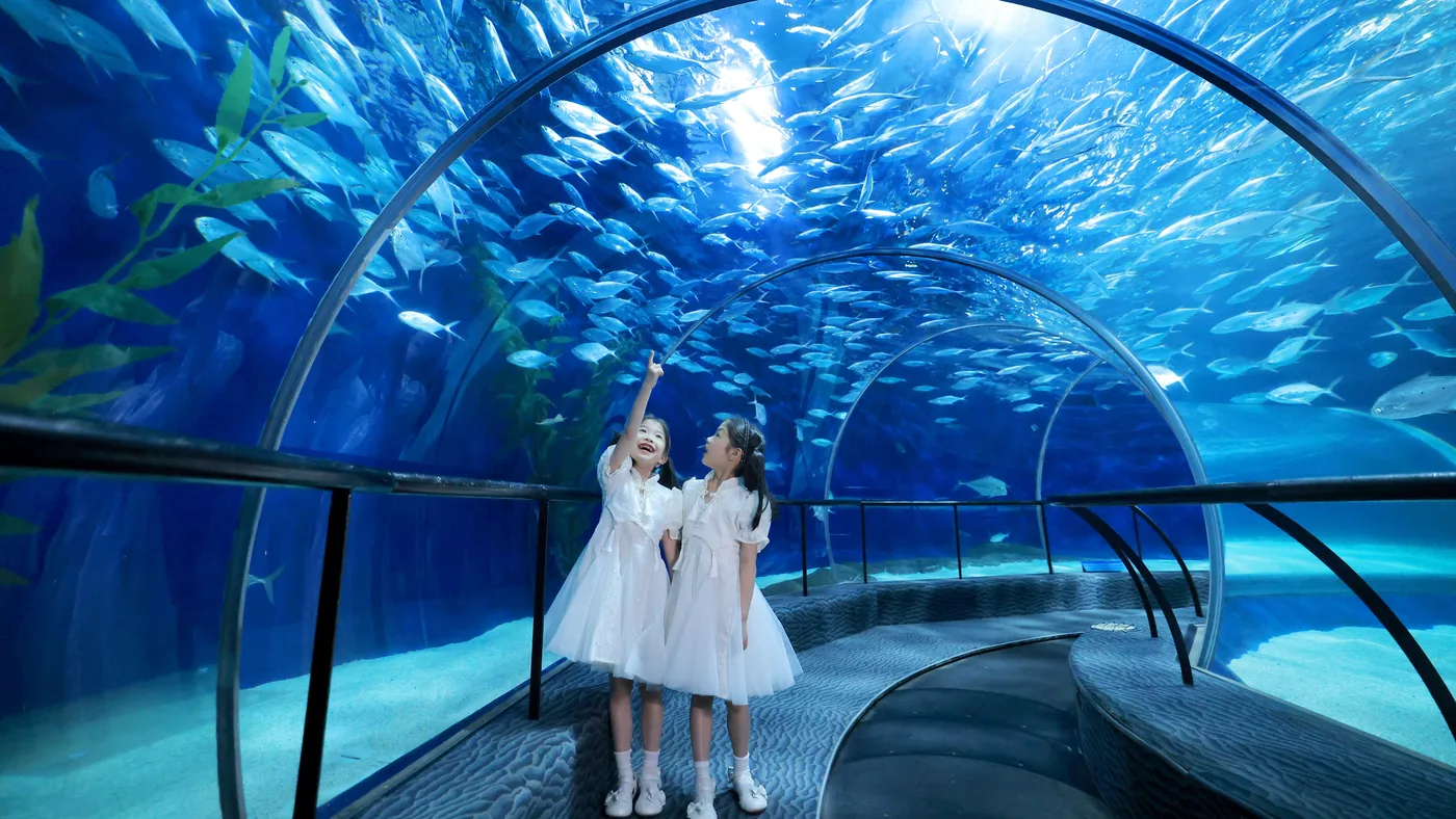 上海海洋水族馆实景图片