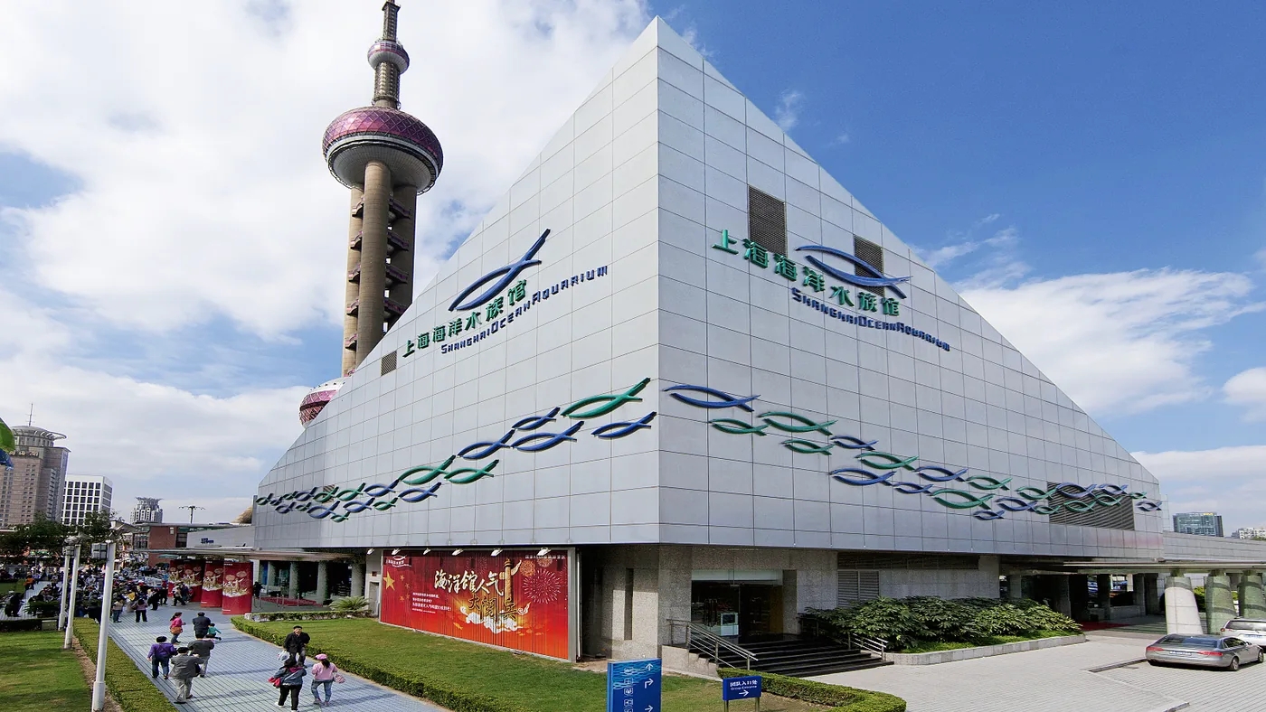 上海海洋水族馆风景图片