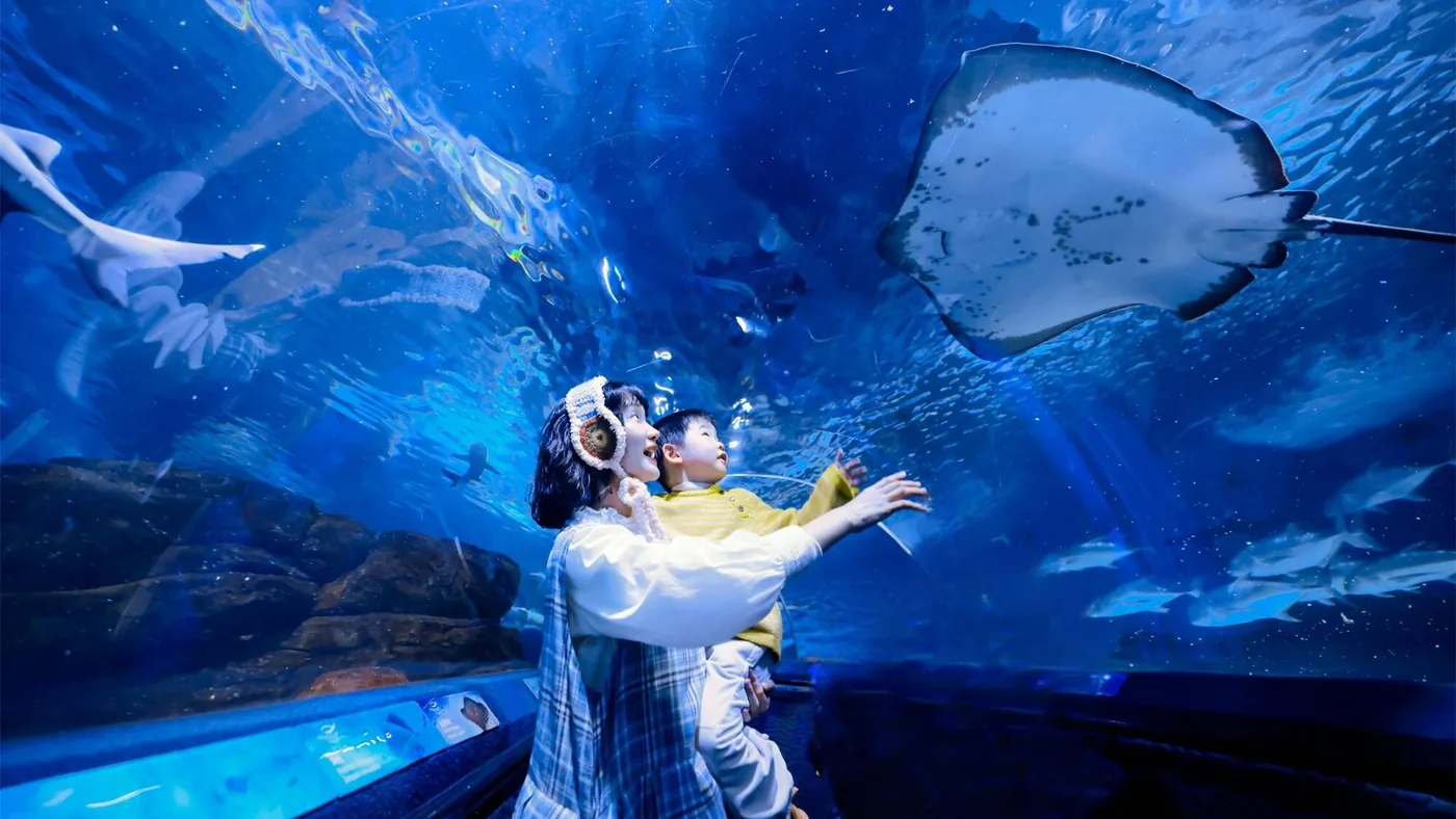 上海海洋水族馆风景图片