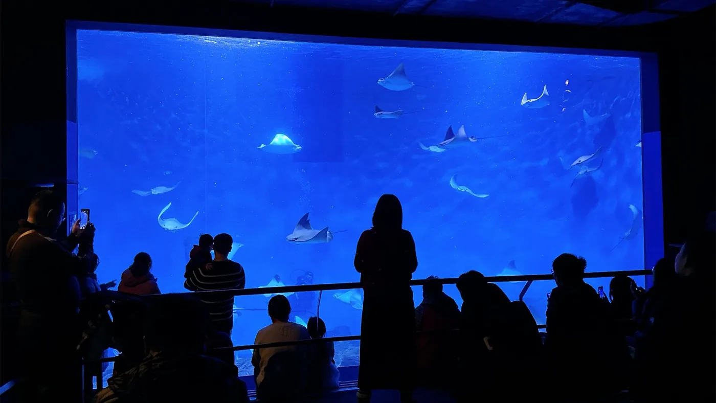 上海海洋水族馆风景图片