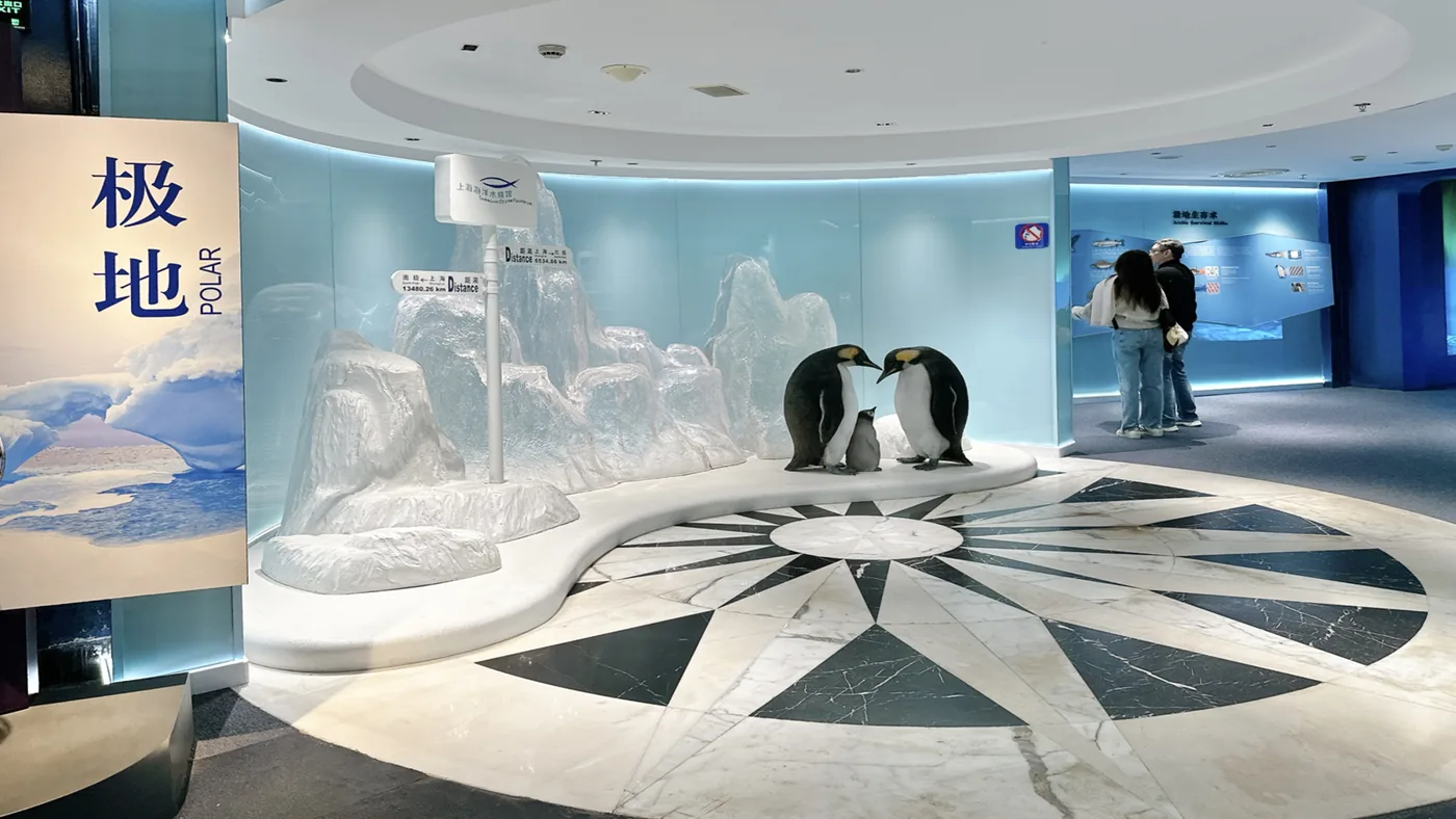 上海海洋水族馆风景图片