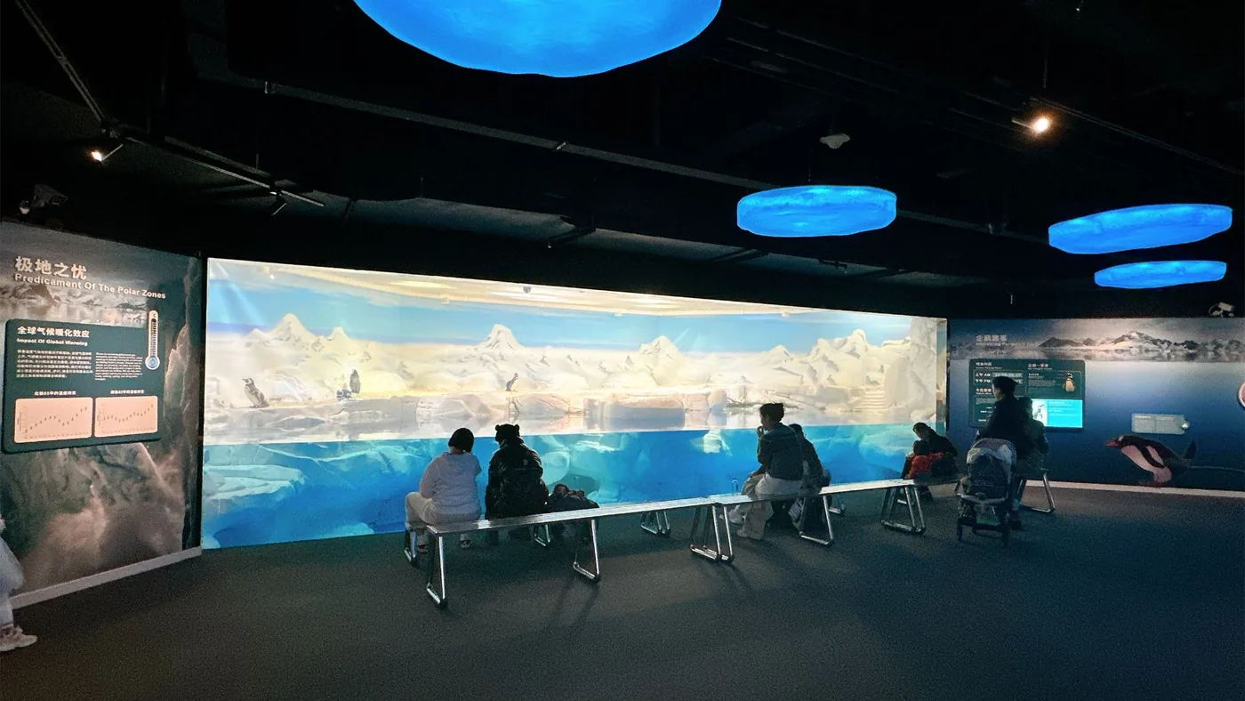 上海海洋水族馆风景图片