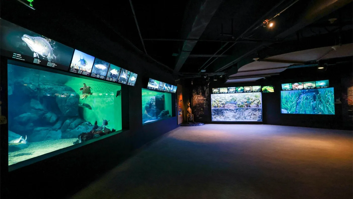 上海海洋水族馆风景图片