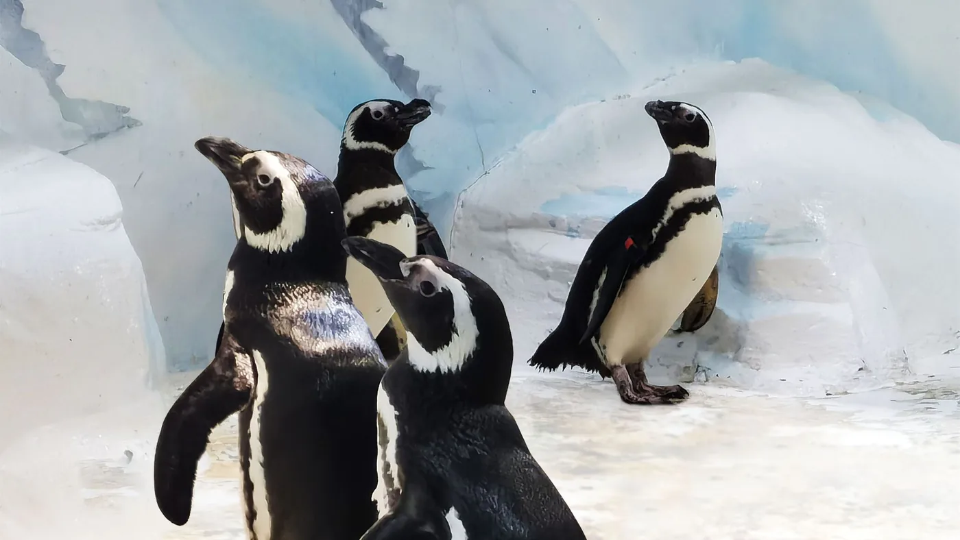 上海海洋水族馆风景图片