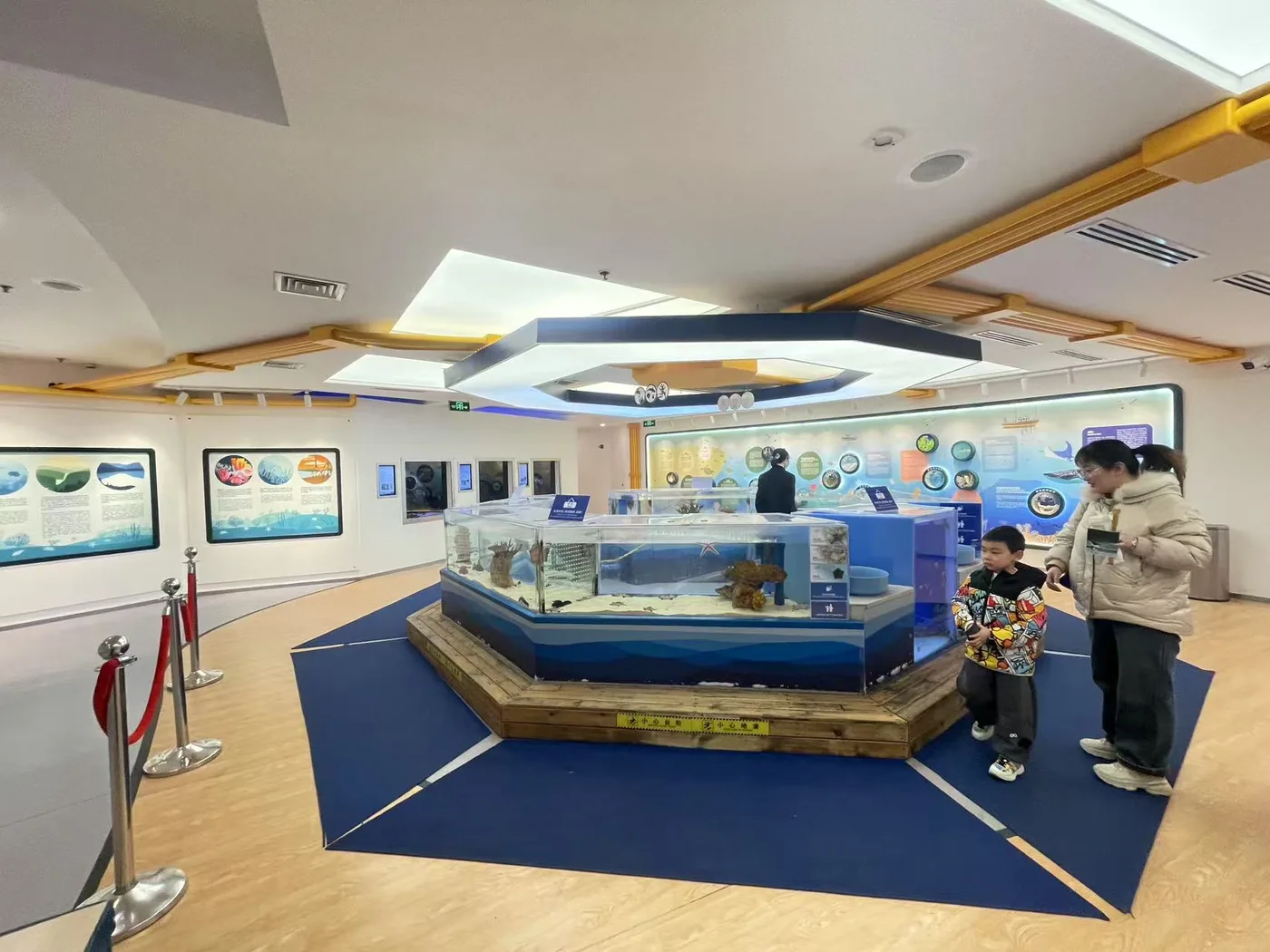 上海海洋水族馆风景图片