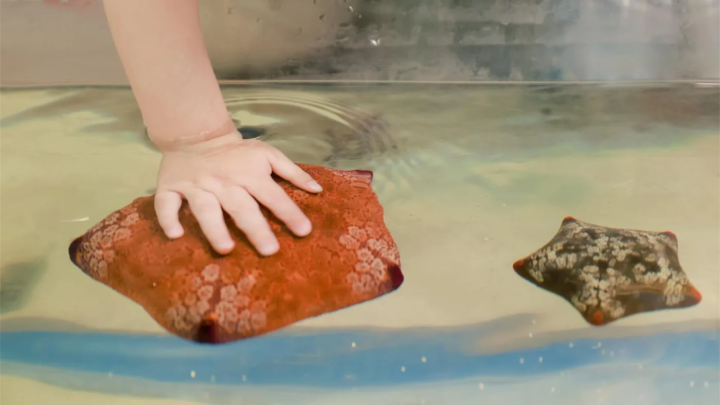 上海海洋水族馆风景图片