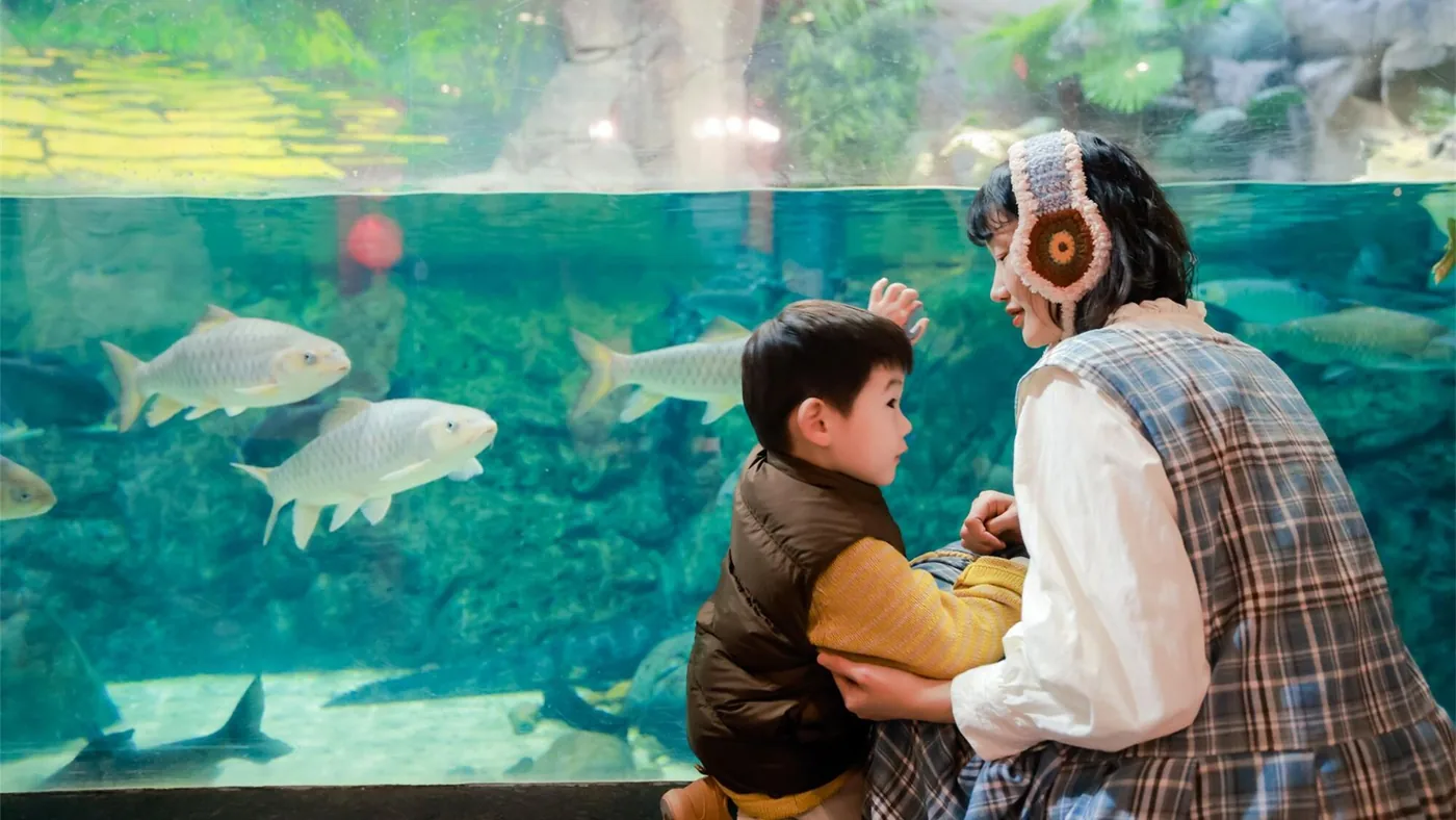 上海海洋水族馆风景图片