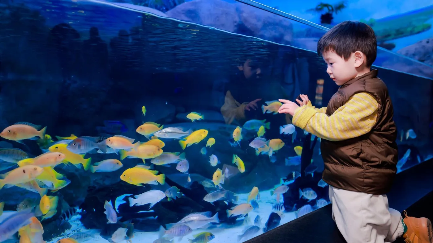 上海海洋水族馆风景图片