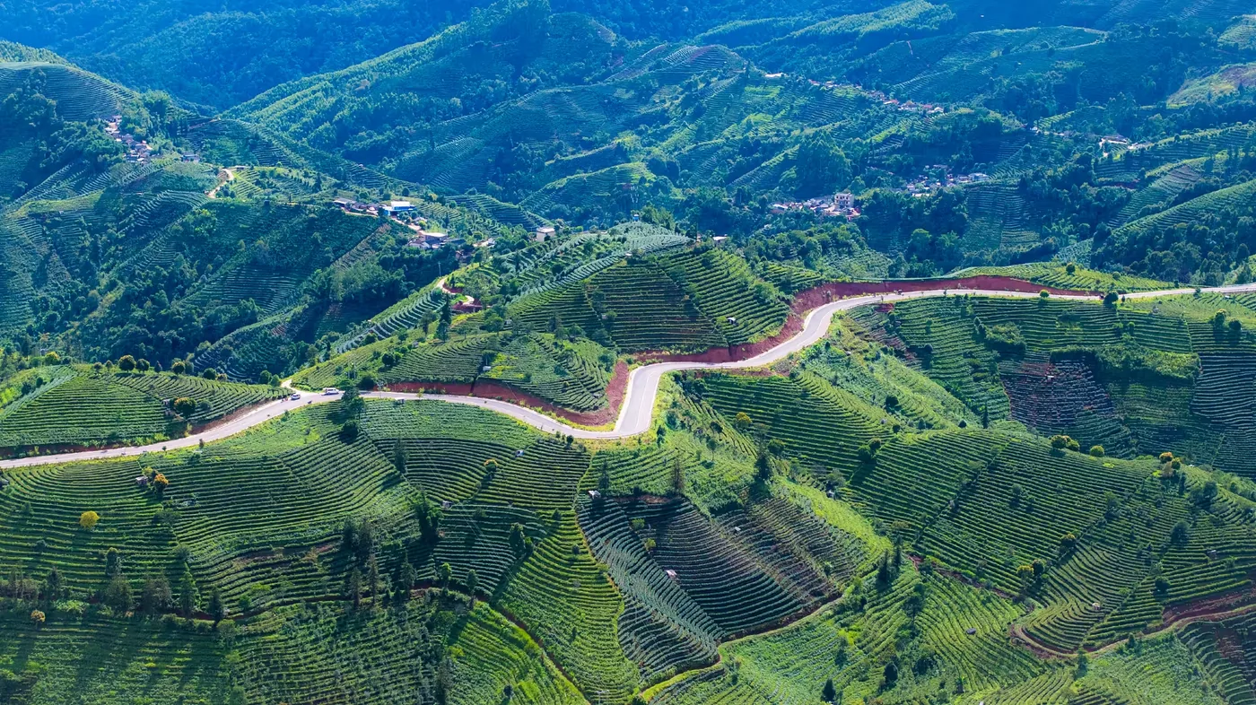 中华普洱茶博览苑风景图片