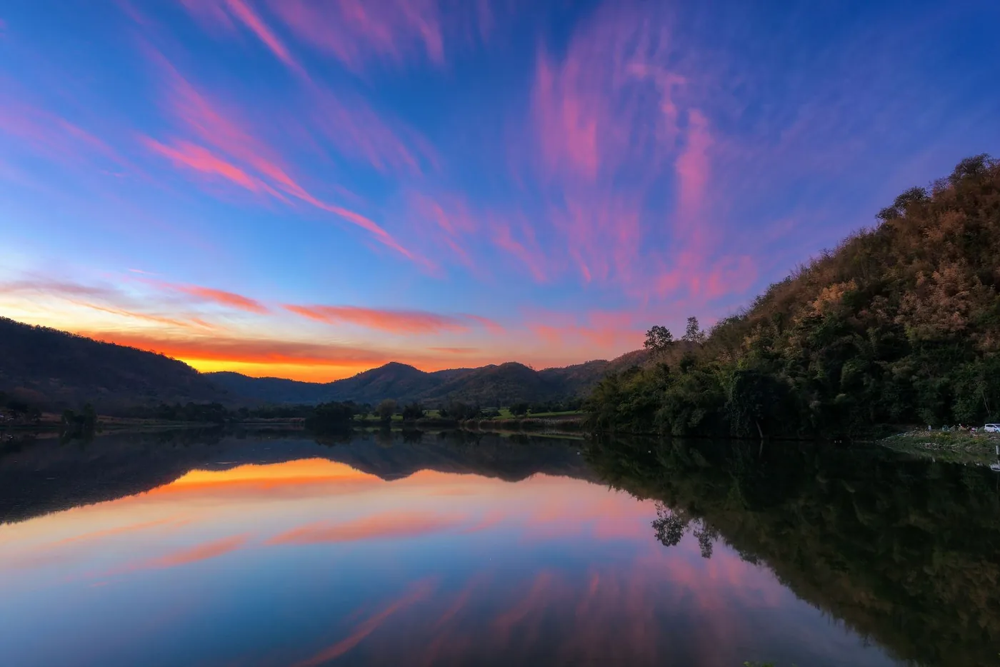 梅子湖公园风景图片