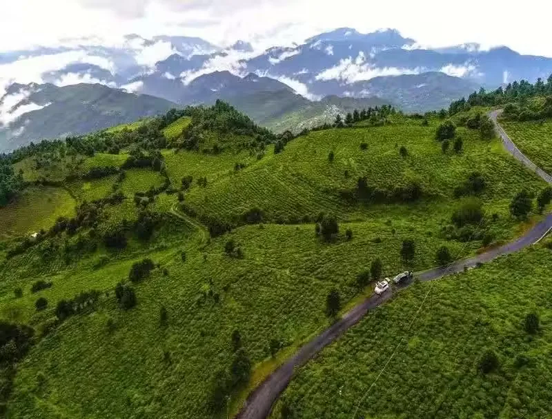 白竹山实景图片