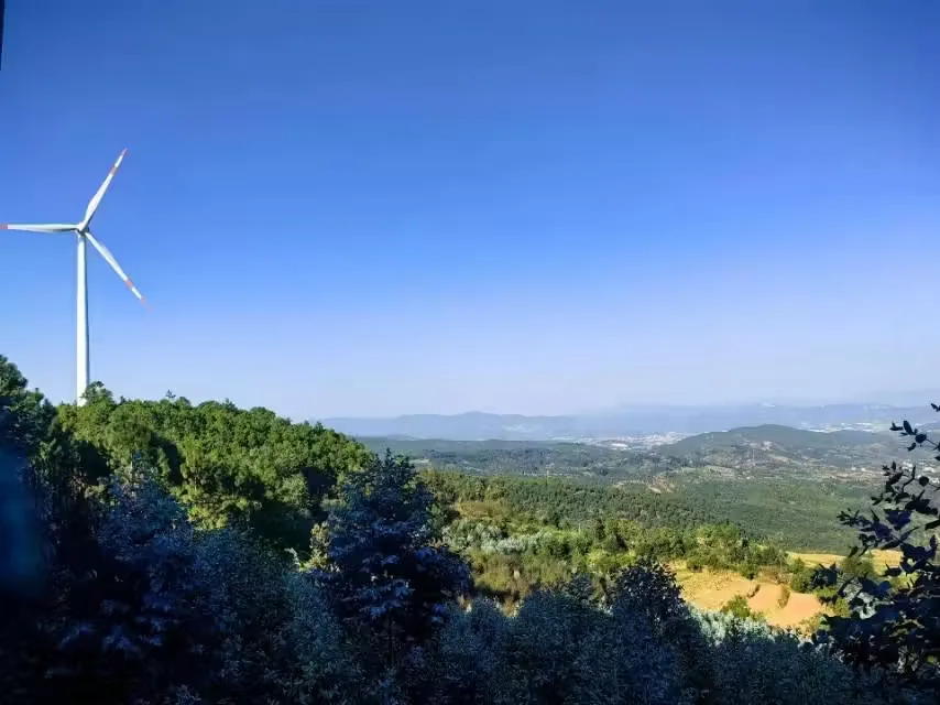 化佛山