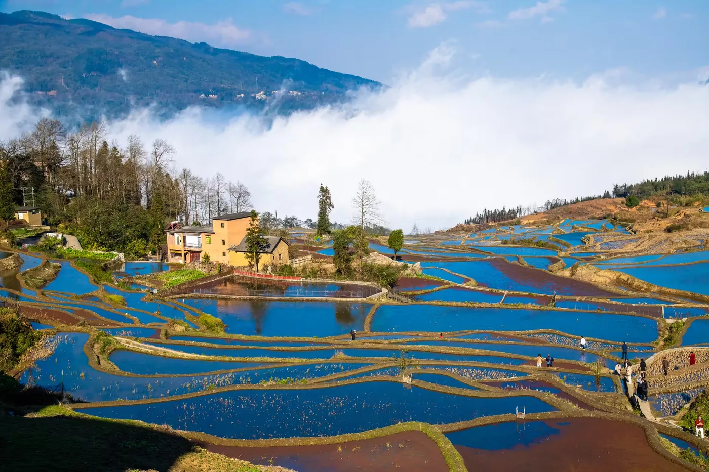 元阳哈尼梯田