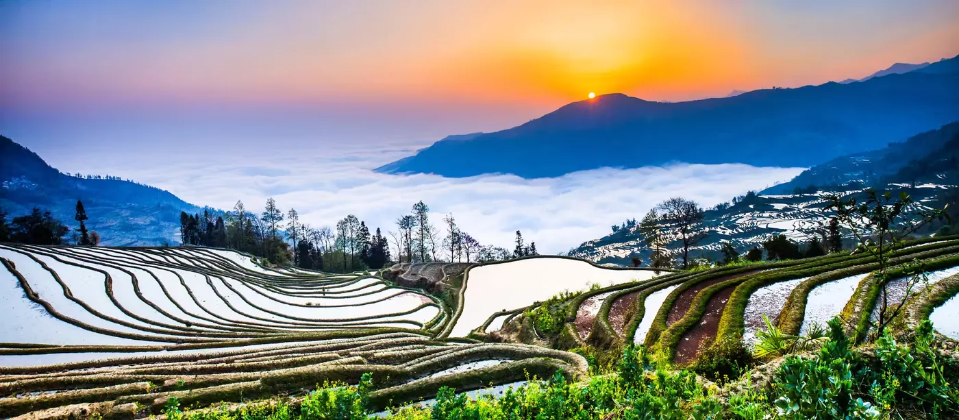 元阳哈尼梯田风景图片