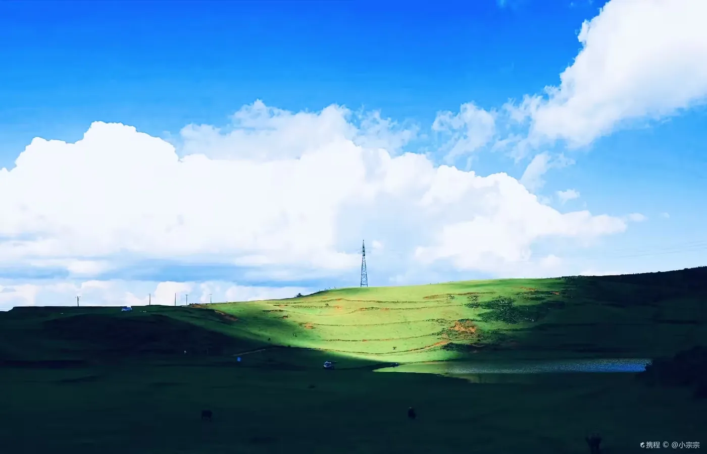 黑巴草场实景图片
