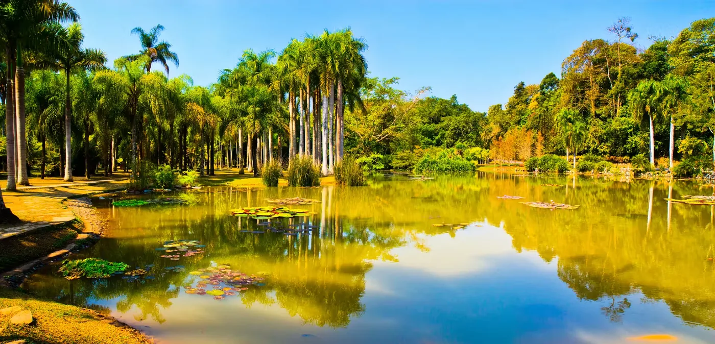 中国科学院西双版纳热带植物园风景图片