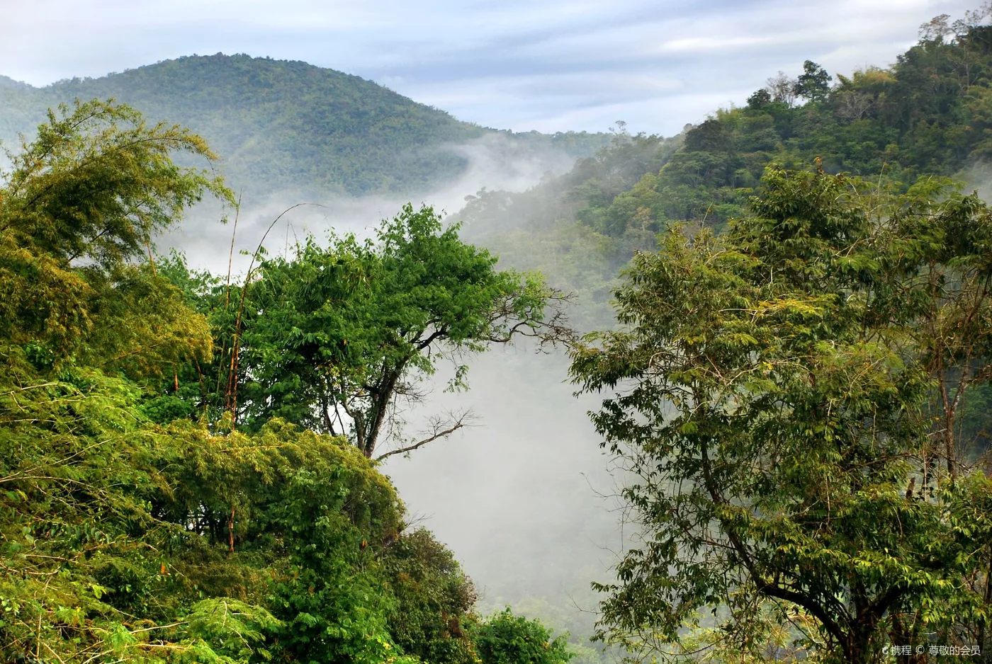 野象谷风景图片