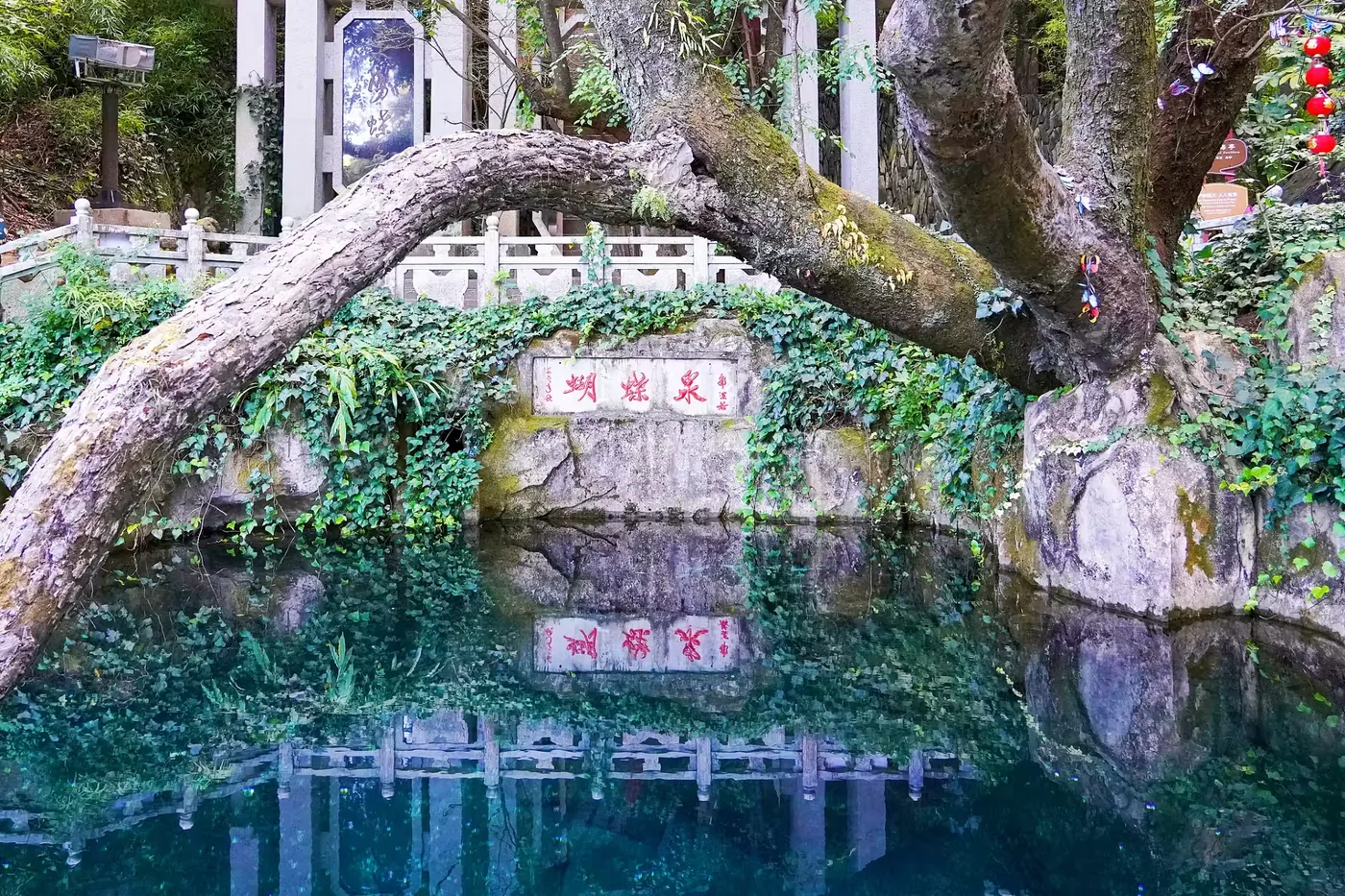 蝴蝶泉