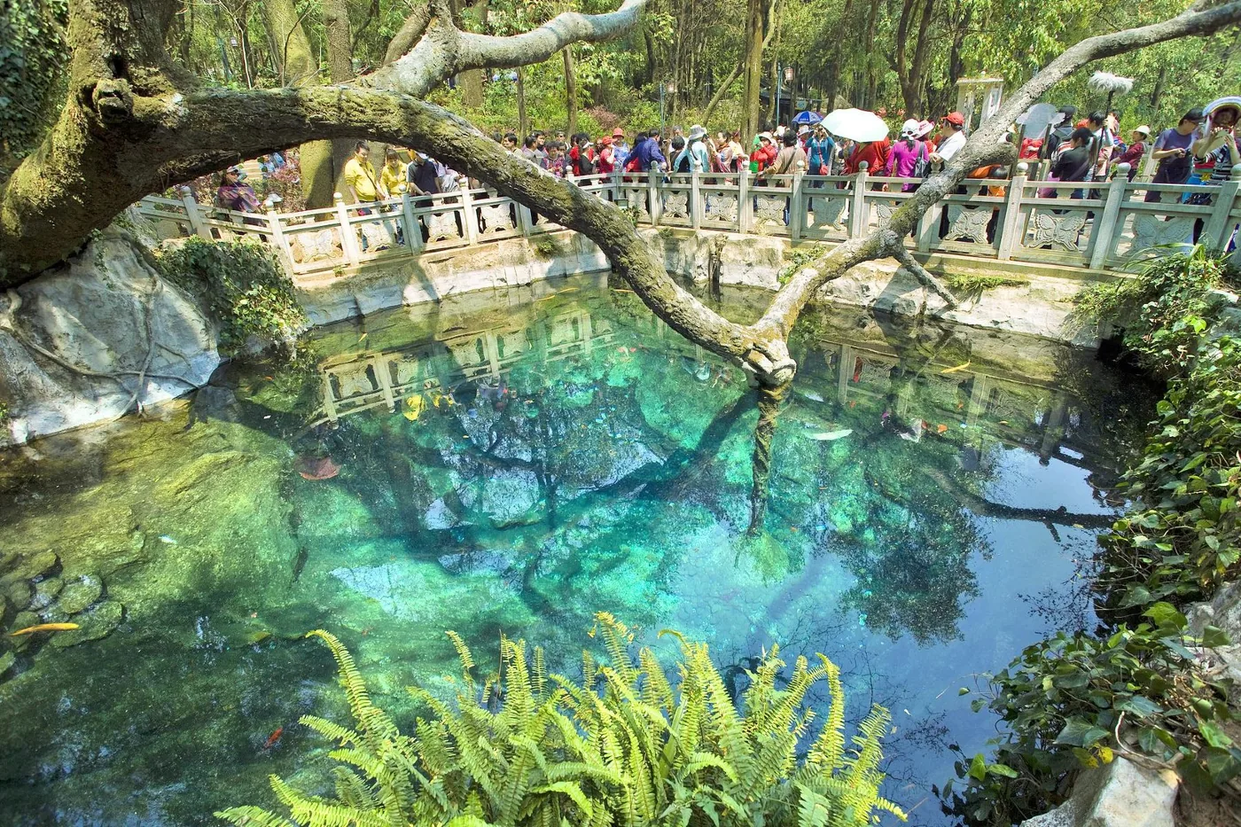 蝴蝶泉风景图片