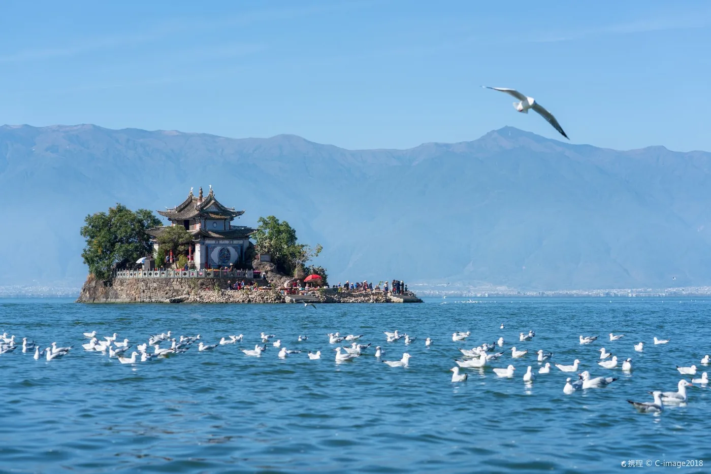 小普陀风景图片